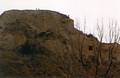 Canada geese choose high nesting spots in Medora