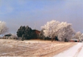 High Pointers Roost is located in the prime pheasant hunting area of southwest ND