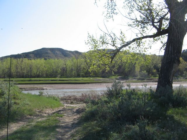 Natural setting