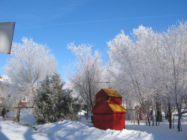 Winter's beauty