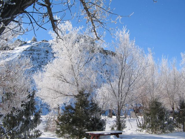 Jack Frost's Talent