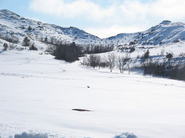Winter Solitude