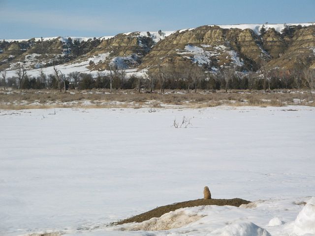 Badlands in winter