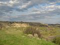 Springtime in Medora