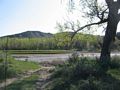 Natural setting
