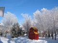 Winter's beauty