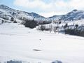 Winter Solitude