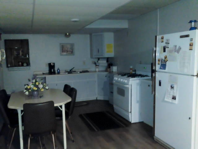 Basement Kitchen