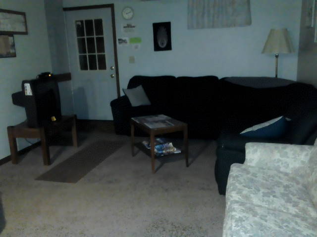 Basement Living room