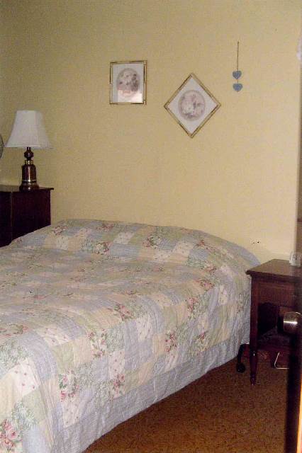 Main Floor Queen bedroom