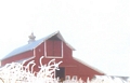 High Pointer's Roost Barn