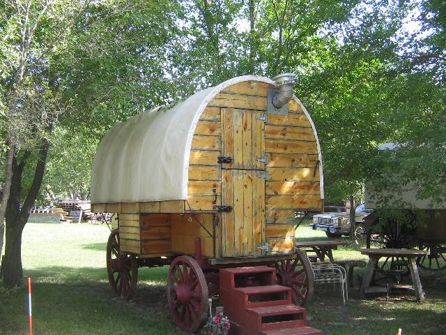 Varnished Wooly Wagon